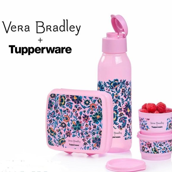 Tupperware Vera Bradley Cloud Vine (Cup, Sandwich Keeper, and 2 Snack Cups) NEW - Picture 2 of 2